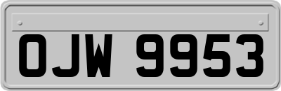 OJW9953