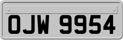 OJW9954