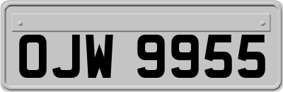 OJW9955