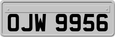 OJW9956