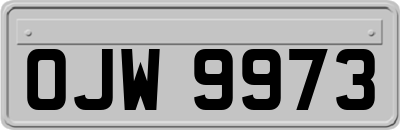 OJW9973