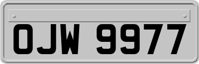 OJW9977