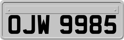 OJW9985