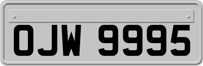 OJW9995