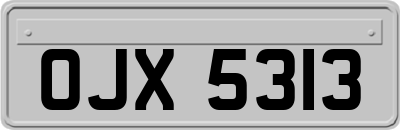 OJX5313