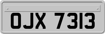 OJX7313