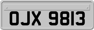 OJX9813