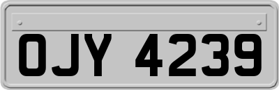 OJY4239