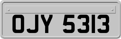 OJY5313