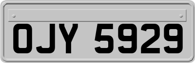 OJY5929