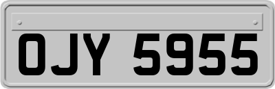 OJY5955
