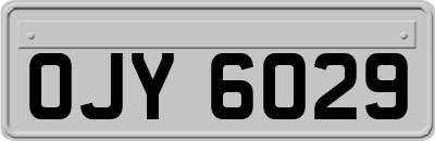 OJY6029