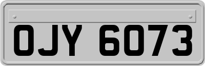 OJY6073