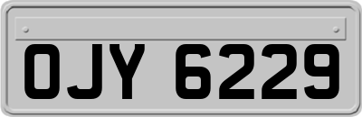 OJY6229