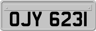 OJY6231