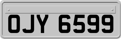 OJY6599