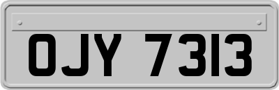 OJY7313