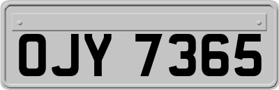 OJY7365