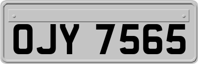 OJY7565