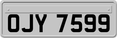 OJY7599