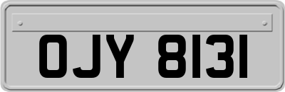 OJY8131