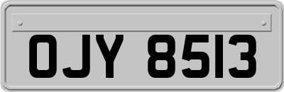 OJY8513