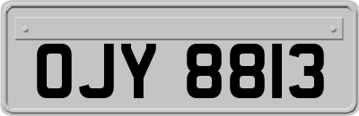 OJY8813