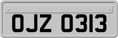 OJZ0313