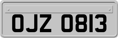OJZ0813