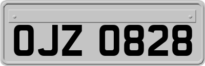 OJZ0828