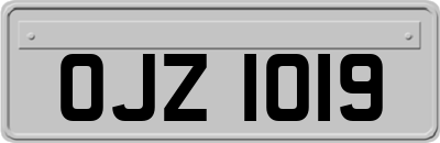 OJZ1019