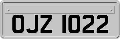 OJZ1022