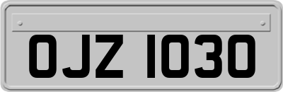 OJZ1030