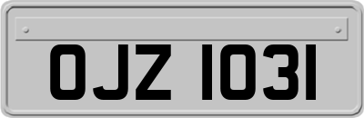 OJZ1031