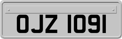 OJZ1091