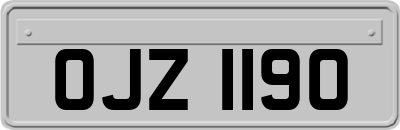 OJZ1190