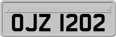 OJZ1202