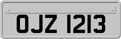 OJZ1213