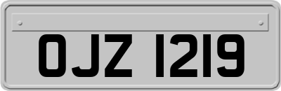 OJZ1219