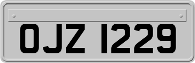 OJZ1229