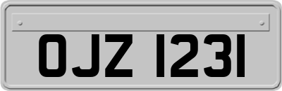 OJZ1231