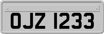 OJZ1233