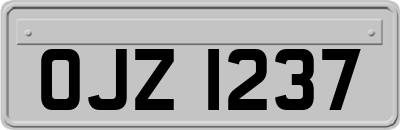 OJZ1237