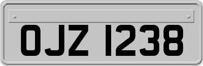 OJZ1238