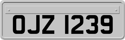 OJZ1239