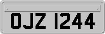 OJZ1244