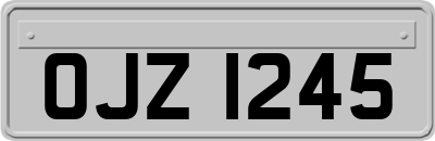 OJZ1245