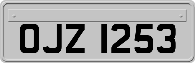 OJZ1253