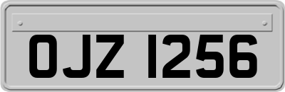 OJZ1256