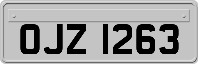 OJZ1263